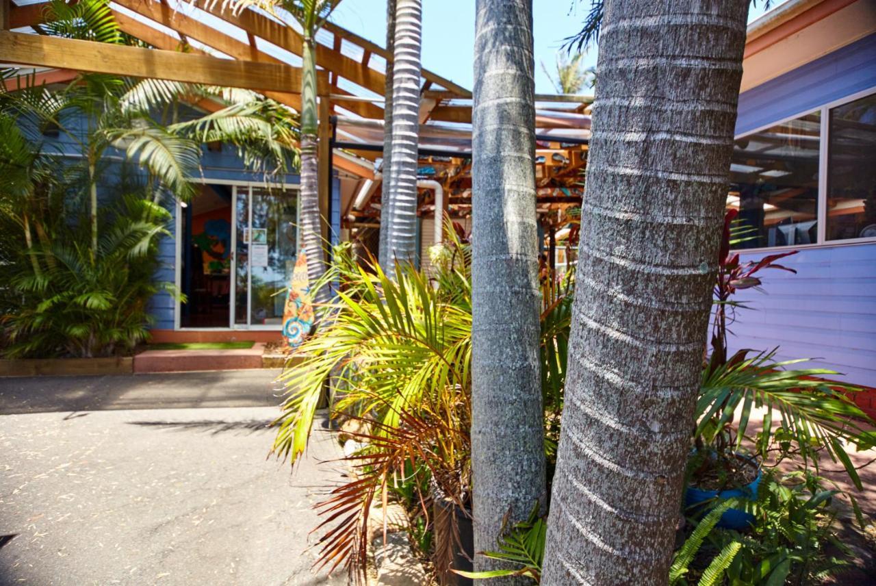 Ozzie Pozzie Backpackers Pansiyon Port Macquarie Dış mekan fotoğraf