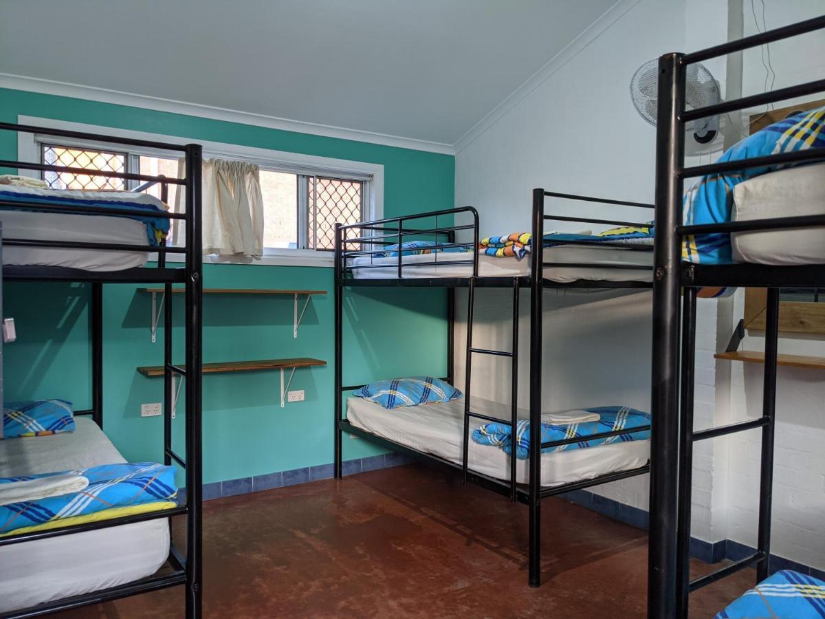 Ozzie Pozzie Backpackers Pansiyon Port Macquarie Dış mekan fotoğraf