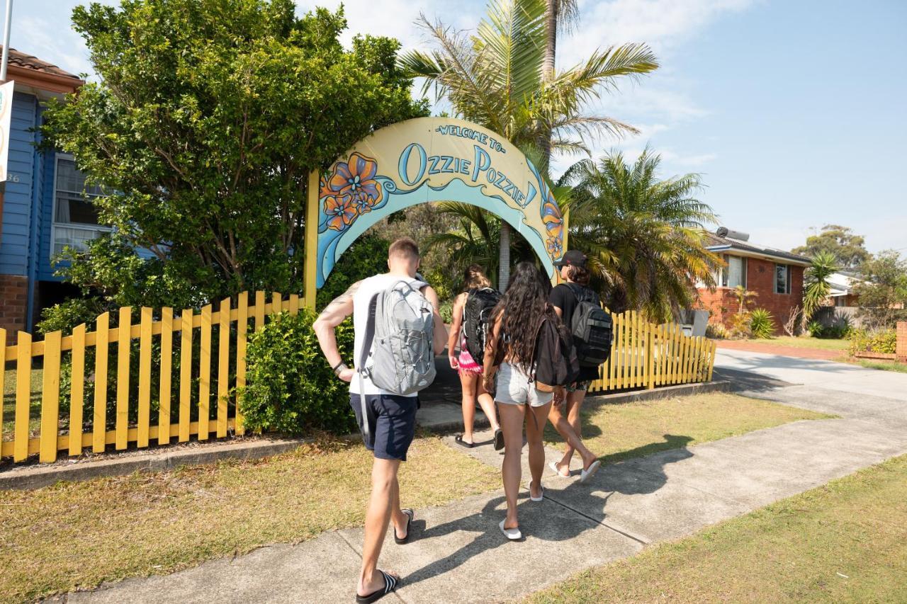 Ozzie Pozzie Backpackers Pansiyon Port Macquarie Dış mekan fotoğraf