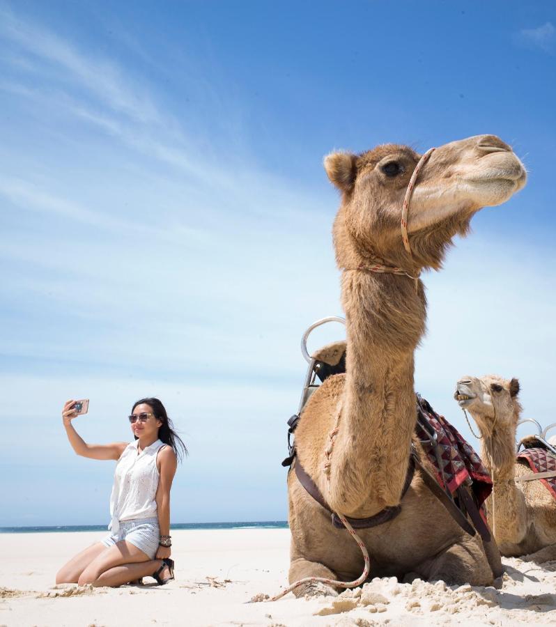 Ozzie Pozzie Backpackers Pansiyon Port Macquarie Dış mekan fotoğraf