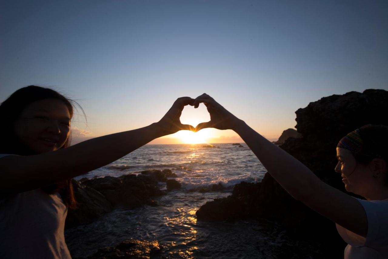 Ozzie Pozzie Backpackers Pansiyon Port Macquarie Dış mekan fotoğraf