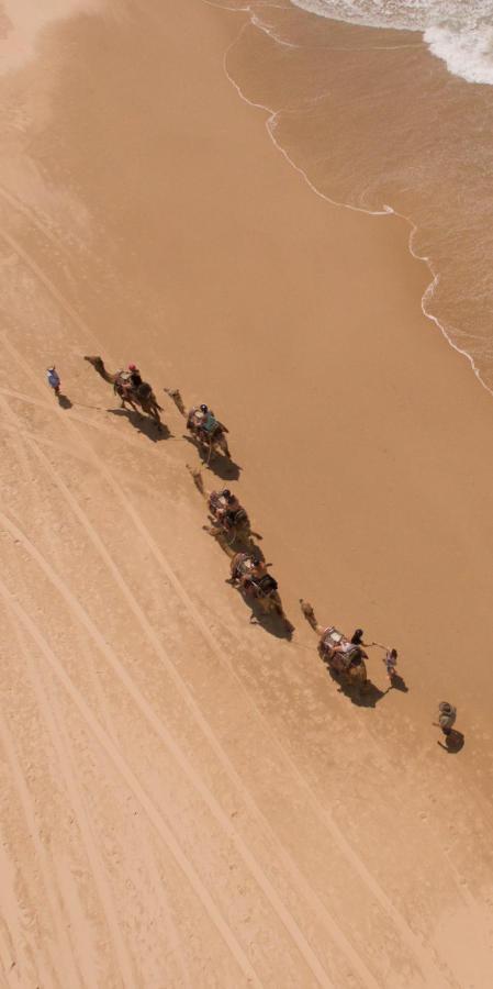 Ozzie Pozzie Backpackers Pansiyon Port Macquarie Dış mekan fotoğraf