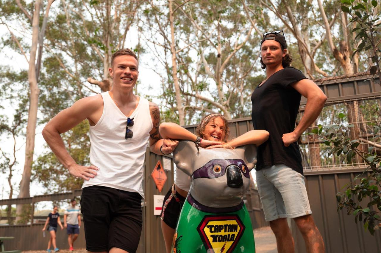 Ozzie Pozzie Backpackers Pansiyon Port Macquarie Dış mekan fotoğraf