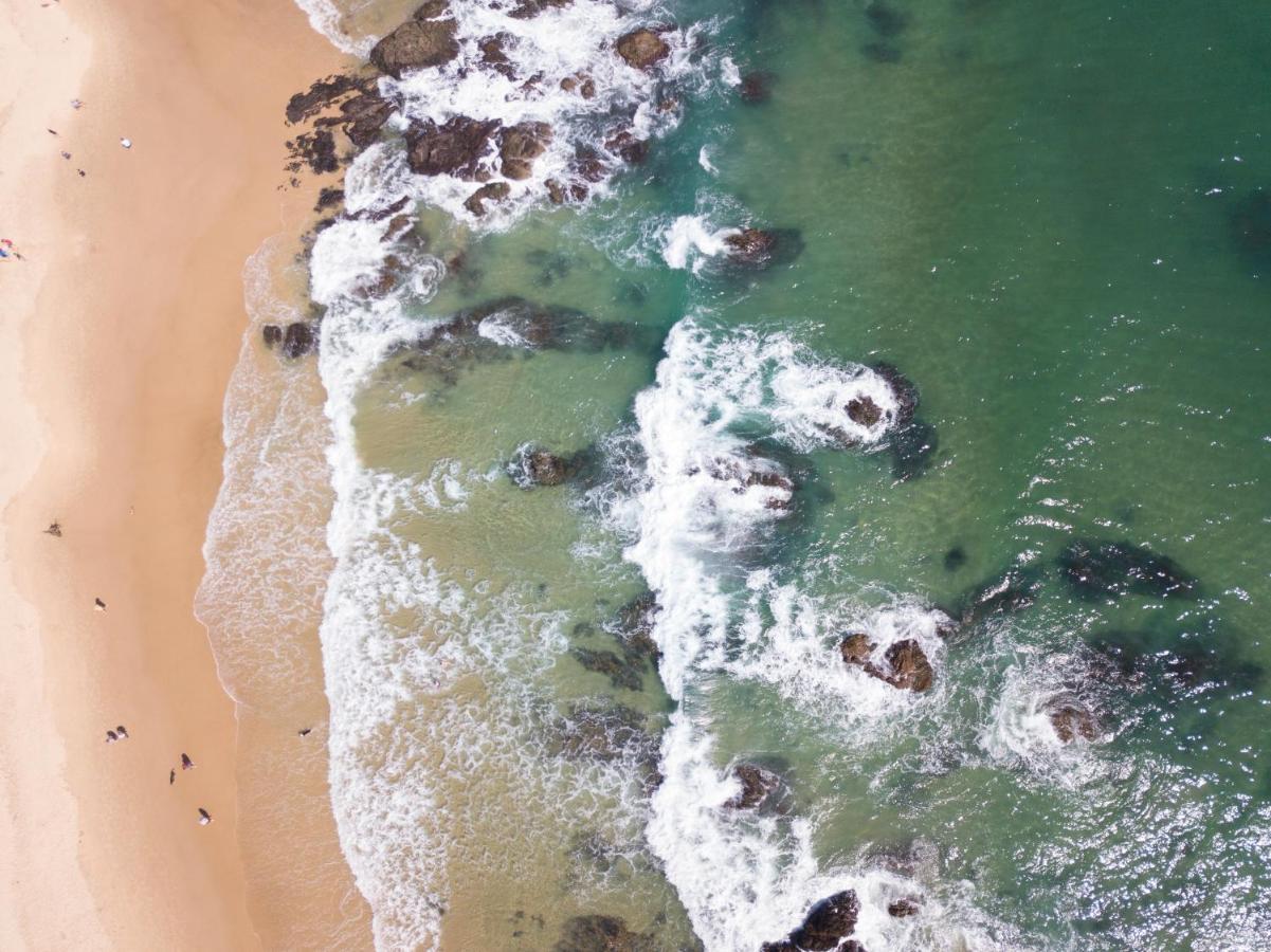 Ozzie Pozzie Backpackers Pansiyon Port Macquarie Dış mekan fotoğraf